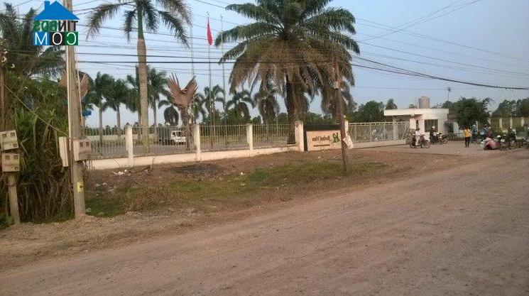 Hình ảnh Hòa Khánh, Tây Ninh