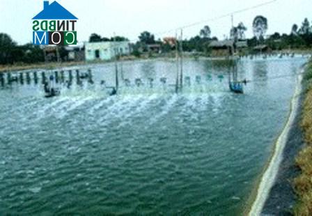 Hình ảnh Long Hựu, Tây Ninh