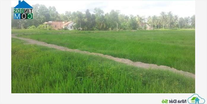 Hình ảnh Lương Hòa, Tây Ninh