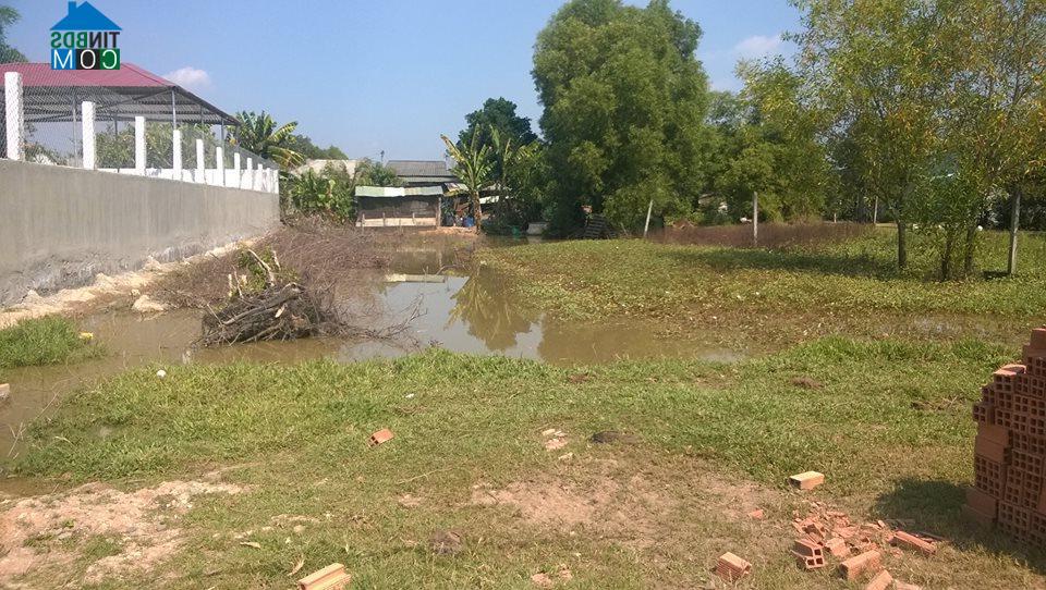 Hình ảnh Mỹ Hạnh, Tây Ninh