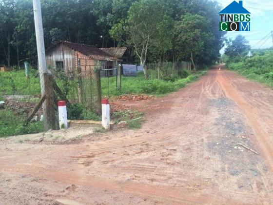 Hình ảnh Tân Lân, Tây Ninh