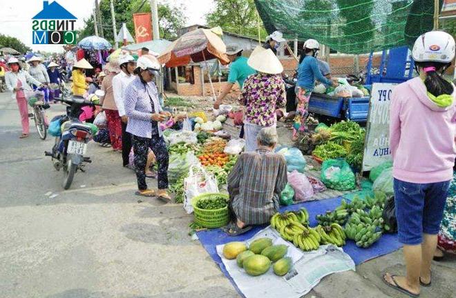 Hình ảnh Tân Tập, Tây Ninh