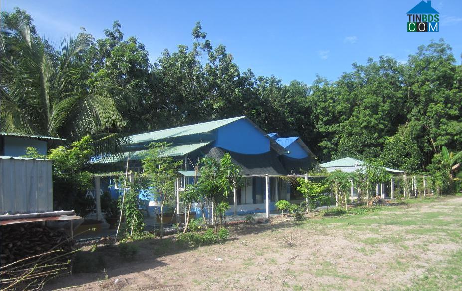 Hình ảnh Tân Tây, Tây Ninh