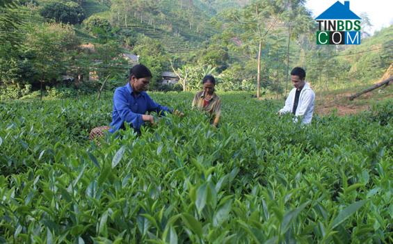 Hình ảnh Bình Yên, Thái Nguyên