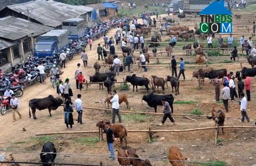 Hình ảnh Cao Minh, Thái Nguyên
