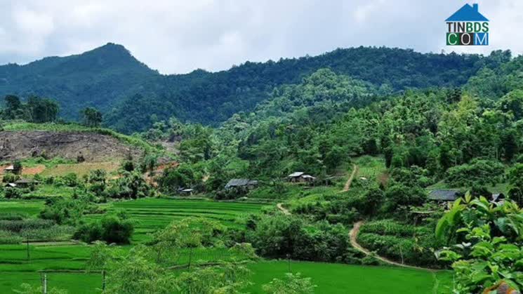 Hình ảnh Cường Lợi, Thái Nguyên