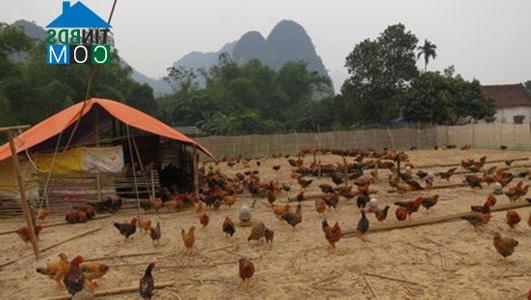 Hình ảnh Dân Tiến, Thái Nguyên