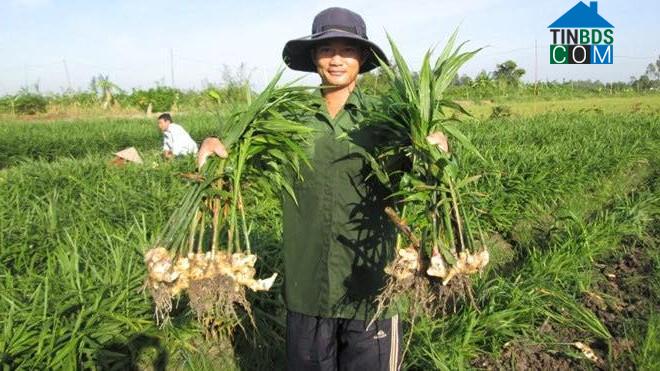Hình ảnh Tân Kỳ, Thái Nguyên