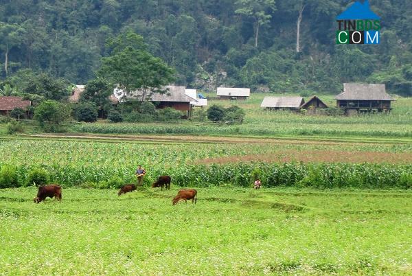 Hình ảnh Thần Sa, Thái Nguyên