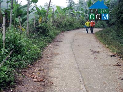 Hình ảnh Thanh Mai, Thái Nguyên