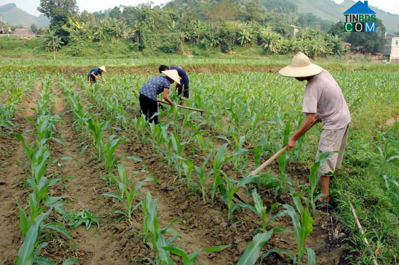 Hình ảnh Thanh Thịnh, Thái Nguyên