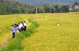 Hình ảnh Thượng Quan, Thái Nguyên