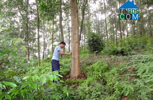 Hình ảnh Nam Hòa, Thái Nguyên