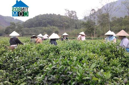 Hình ảnh Quân Chu, Thái Nguyên