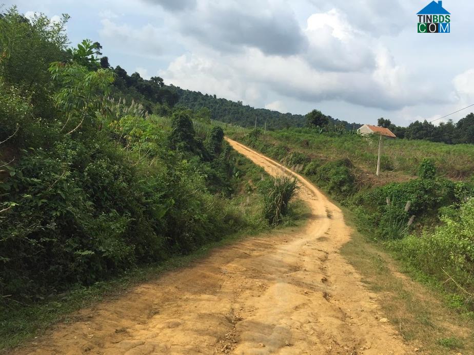 Hình ảnh Xuân Thái, Thanh Hóa