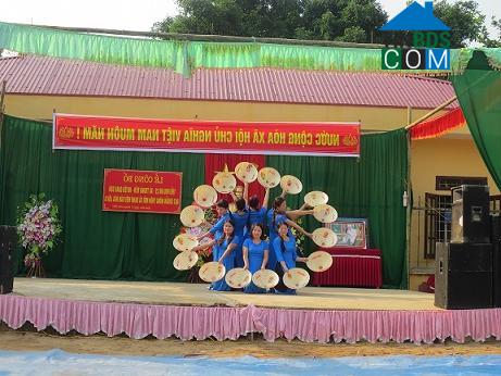 Hình ảnh Trung Hạ, Thanh Hóa