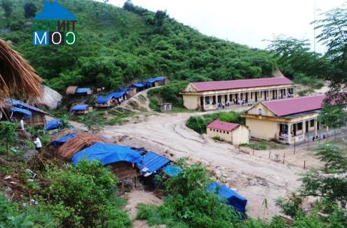 Hình ảnh Trung Lý, Thanh Hóa