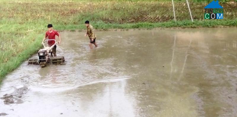 Hình ảnh Trung Hội, Thái Nguyên