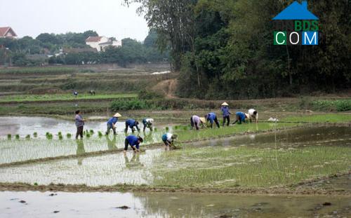 Hình ảnh An Khánh, Thái Nguyên