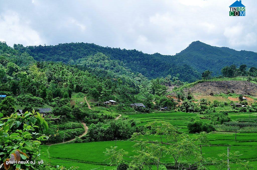 Hình ảnh Văn Lang, Thái Nguyên