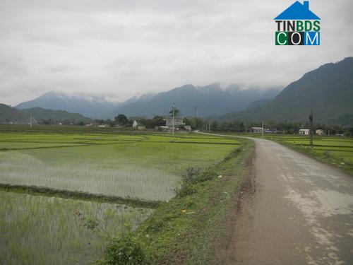 Hình ảnh Vạn Phú, Thái Nguyên