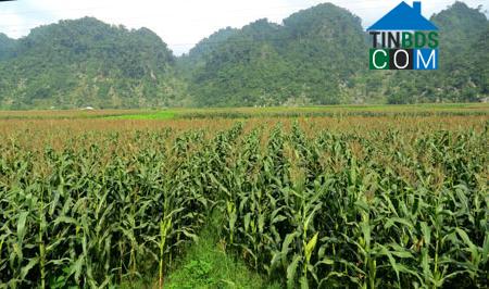 Hình ảnh Vĩnh Thông, Thái Nguyên