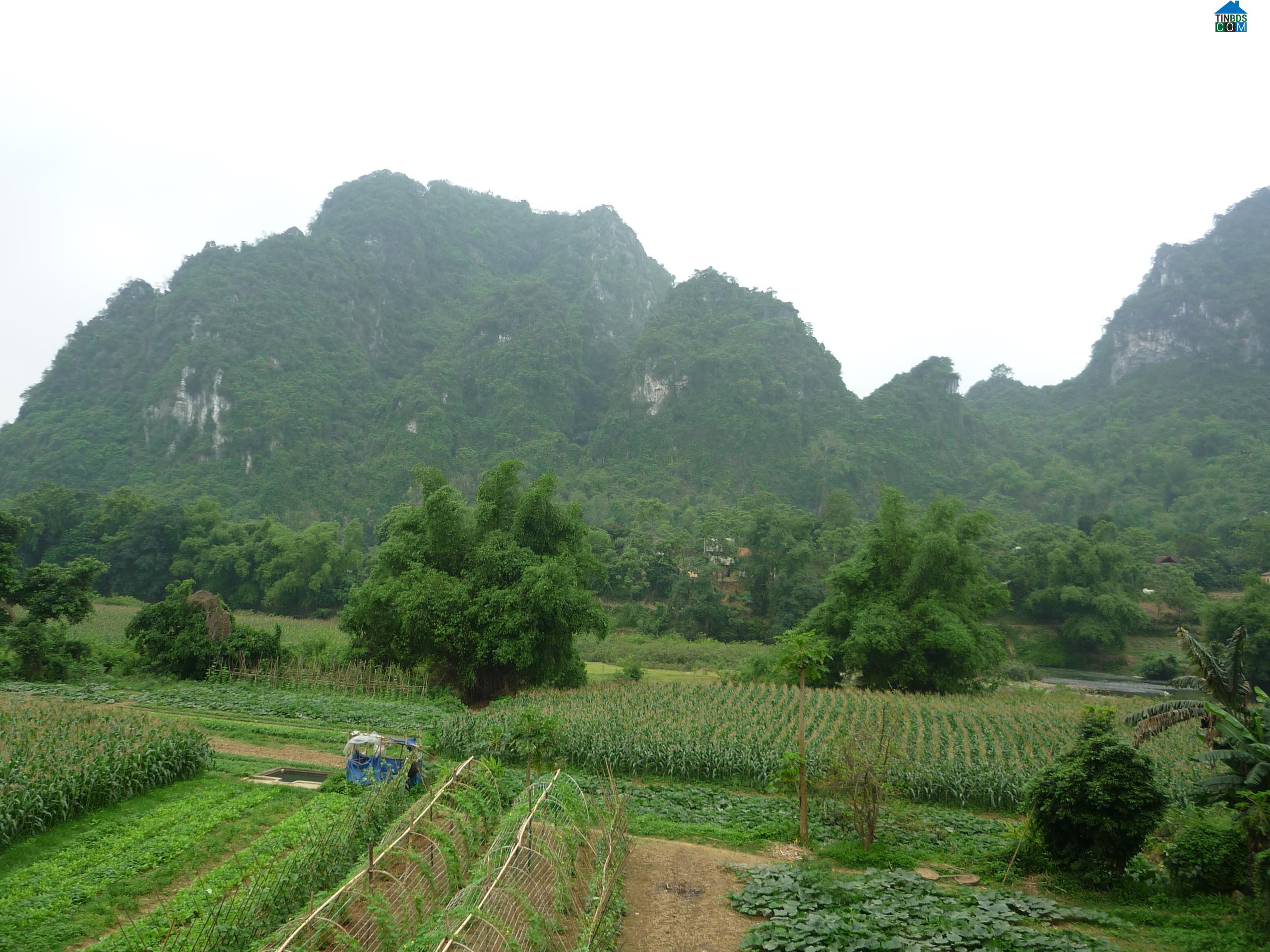 Hình ảnh Xuân Dương, Thái Nguyên