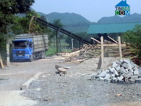 Hình ảnh Cẩm Vân, Thanh Hóa