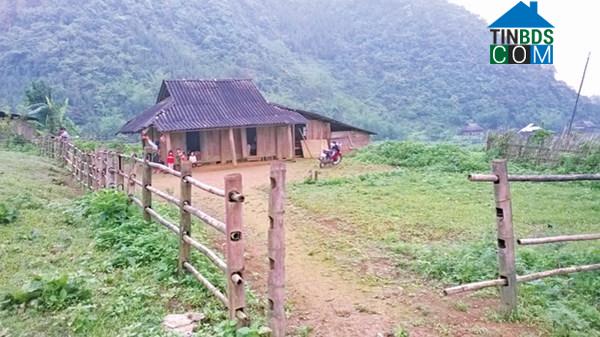 Hình ảnh Cổ Lũng, Thanh Hóa