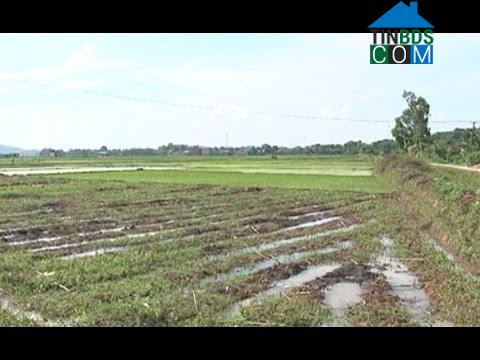 Hình ảnh Công Chính, Thanh Hóa