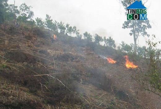 Hình ảnh Điền Quang, Thanh Hóa