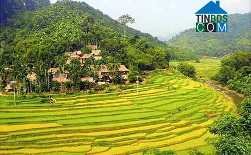 Hình ảnh Văn Nho, Thanh Hóa