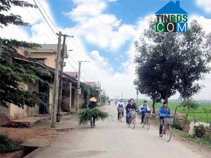 Hình ảnh Yên Ninh, Thanh Hóa