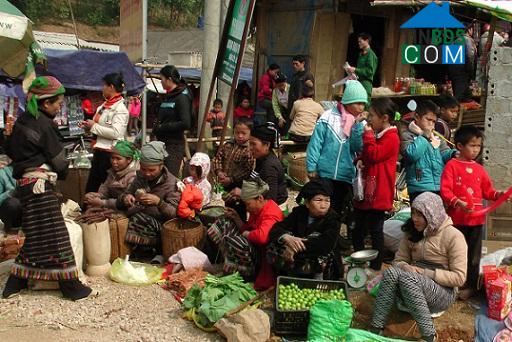 Hình ảnh Yên Thắng, Thanh Hóa