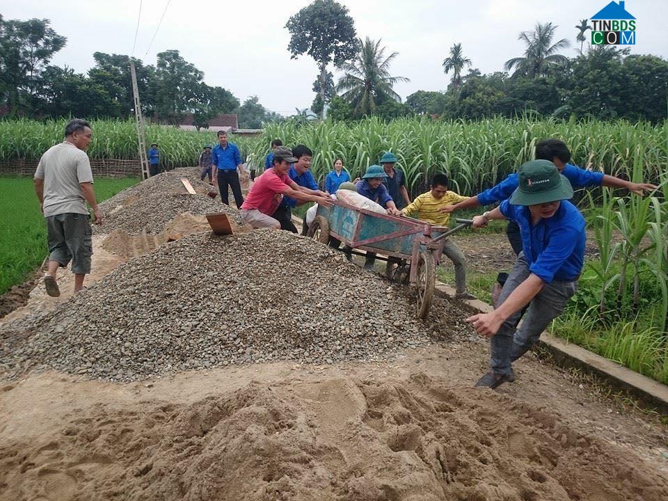 Hình ảnh Cẩm Tú, Thanh Hóa