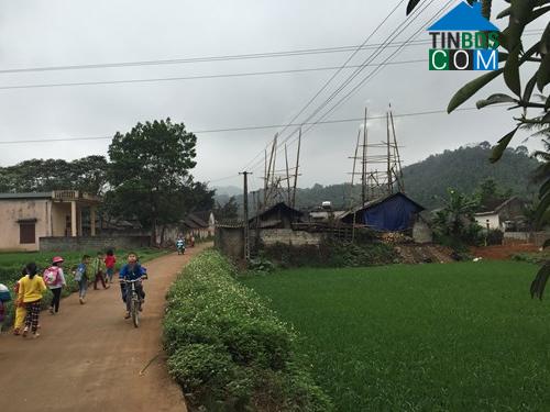 Hình ảnh Lương Sơn, Thanh Hóa