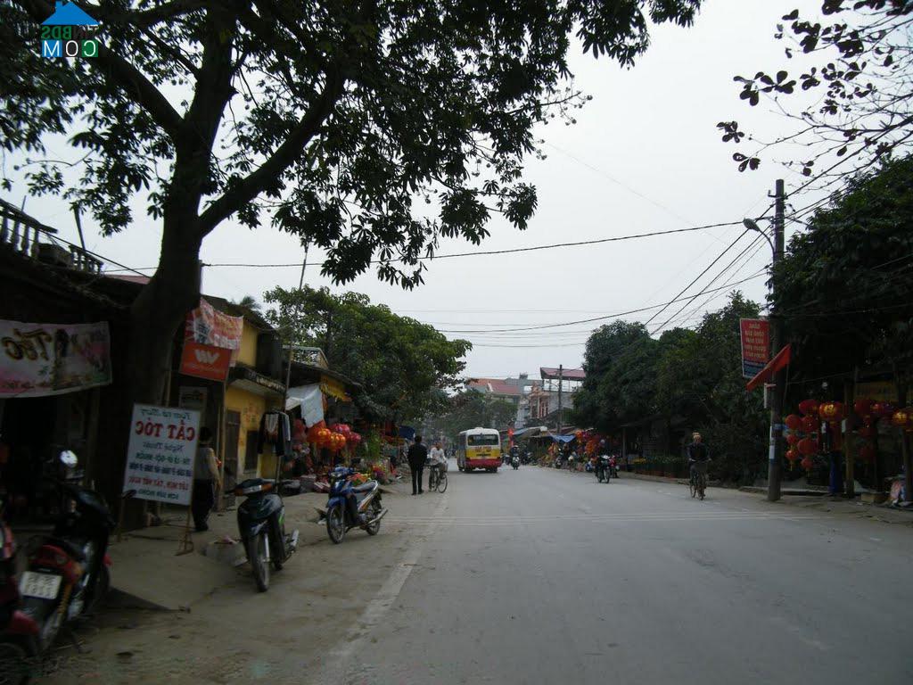 Hình ảnh Hậu Lộc, Thanh Hóa