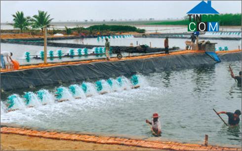 Hình ảnh Hoằng Tiến, Thanh Hóa