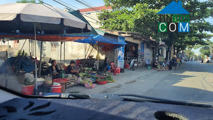 Hình ảnh Tân Ninh, Thanh Hóa