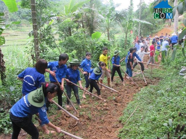 Hình ảnh Tân Thành, Thanh Hóa