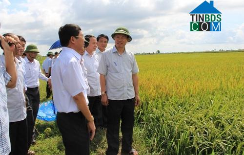 Hình ảnh Tân Tiến, Thanh Hóa