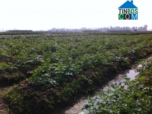 Hình ảnh Thăng Bình, Thanh Hóa