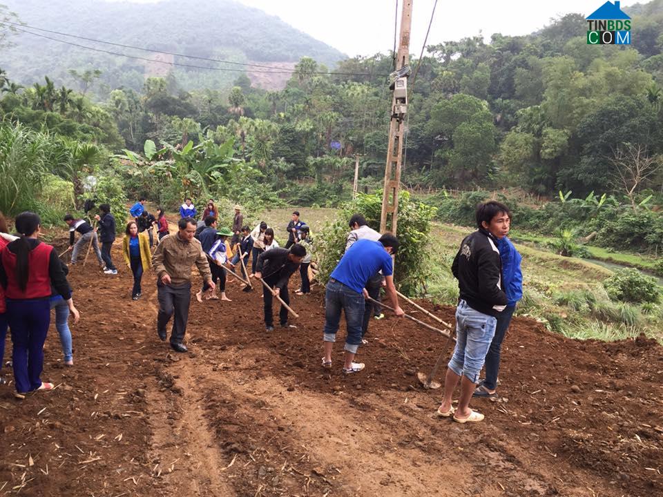 Hình ảnh Thanh Kỳ, Thanh Hóa