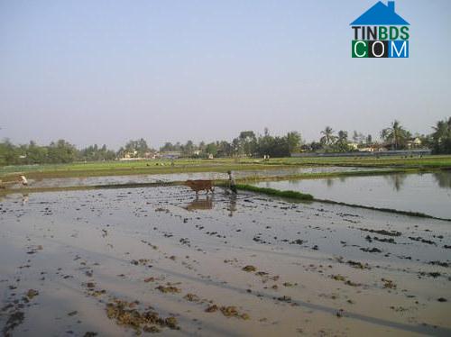 Hình ảnh Quảng Ninh, Thanh Hóa