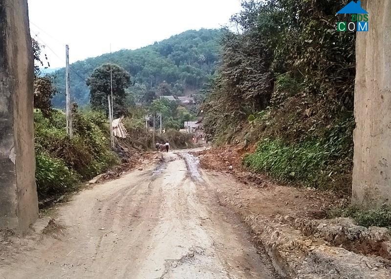 Hình ảnh Sơn Điện, Thanh Hóa