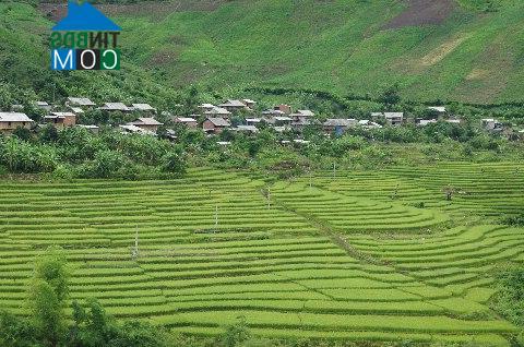 Hình ảnh Tam Chung, Thanh Hóa