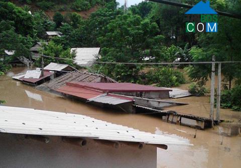 Hình ảnh Trung Thành, Thanh Hóa