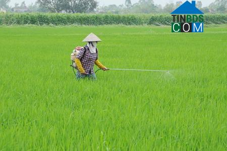 Hình ảnh Thọ Long, Thanh Hóa