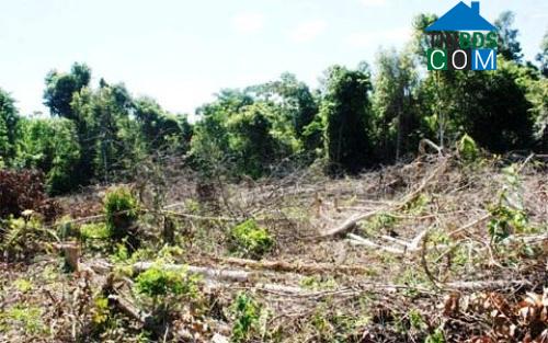 Hình ảnh Xuân Hòa, Thanh Hóa