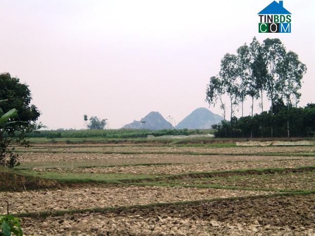 Hình ảnh Thiệu Tiến, Thanh Hóa